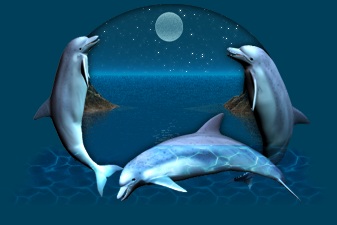 dolphin.jpg (19923 bytes)